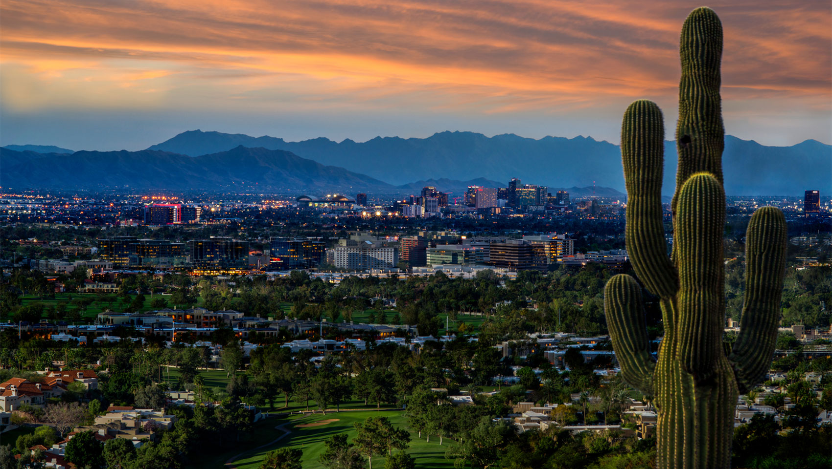 Phoenix city scape at night